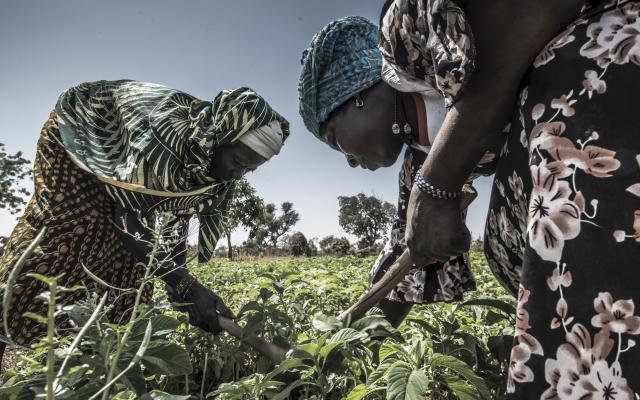 Alizeta is a farmer, widow and mother of eight children living in the village of Louda.