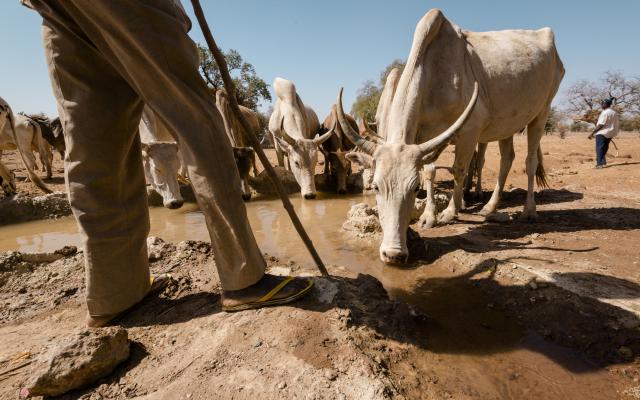 In the Central North region of Burkina Faso, water has become a scarce resource.