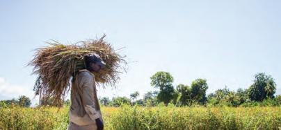 haiti-5-year-250x180.jpg
