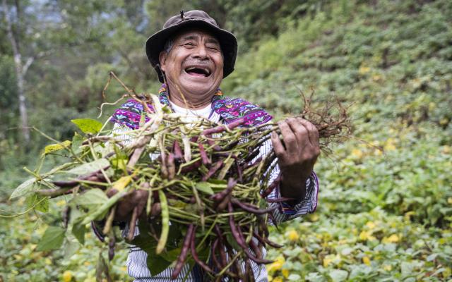 Jesus Ramírez is proud of his harvest of local beans, Todos Santos Cuchumatanes, Guatemala.