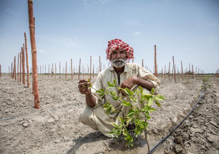 Muhammad Khan is a Community Group Member and beneficiary of an Oxfam-sponsored highly efficient irrigation system. Muhammad's main income is derived from share cropping. Credit: Khaula Jamil/OxfamAUS Muhammad Khan is a Community Group Member and beneficiary of an Oxfam-sponsored highly efficient irrigation system. Muhammad's main income is derived from share cropping. Credit: Khaula Jamil/OxfamAUS