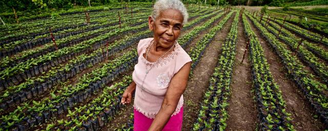 Boosting gender equality in land tenure would empower women and provide them with greater influence in making decisions regarding land use. In the image: Luz Evelia Godines Solano, coffee producer from Nicaragua. Boosting gender equality in land tenure would empower women and provide them with greater influence in making decisions regarding land use. In the image: Luz Evelia Godines Solano, coffee producer from Nicaragua.