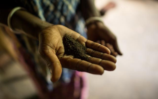 Tea. Rather tea dust. A woman shows the tea that the tea workers get as a monthly ration. Photo: Roanna Rahman/Oxfam Tea. Rather tea dust. A woman shows the tea that the tea workers get as a monthly ration. Photo: Roanna Rahman/Oxfam