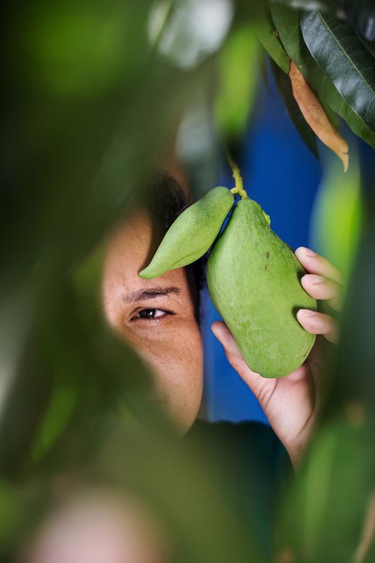Maria, fruit worker, under mango tree