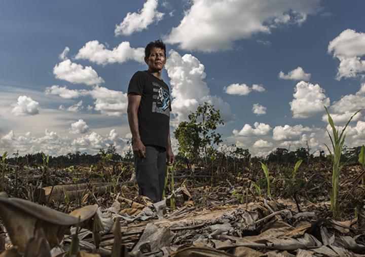 The indigenous Shipibo community of Santa Clara de Uchunya, in the Peruvian Amazon, is facing invasion of its ancestral lands by corporate oil palm plantations and land traffickers. 7,000 hectares of forest have been destroyed. Photo : Diego Pérez/Oxfam The indigenous Shipibo community of Santa Clara de Uchunya, in the Peruvian Amazon, is facing invasion of its ancestral lands by corporate oil palm plantations and land traffickers. 7,000 hectares of forest have been destroyed. Photo : Diego Pérez/Oxfam