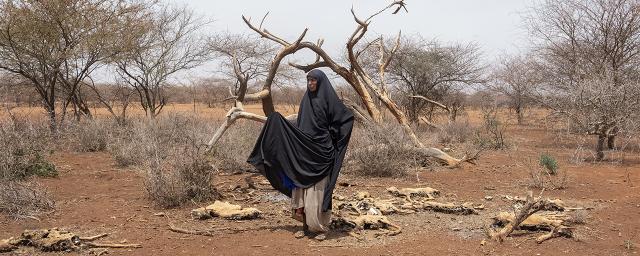 Diyaara stands among the carcasses of her family's livestock.