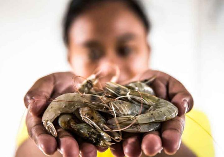 What are supermarkets doing to protect the people who produce our food? Photo: Adrian Mulya/TheSustainable Seafood Alliance Indonesia What are supermarkets doing to protect the people who produce our food? Photo: Adrian Mulya/TheSustainable Seafood Alliance Indonesia